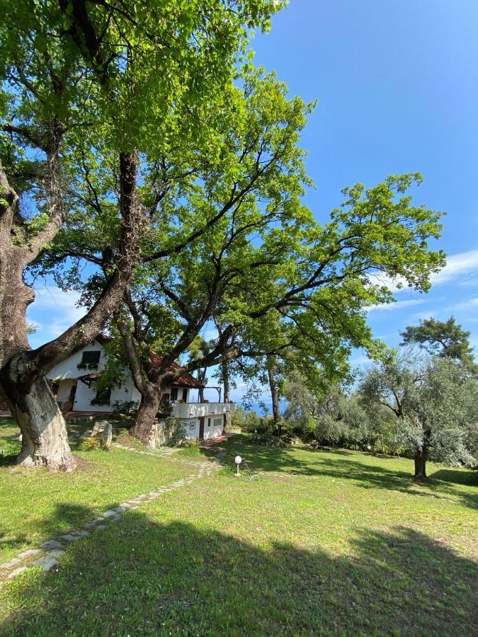 Wild Oaks Cottage Kriopigi Eksteriør billede