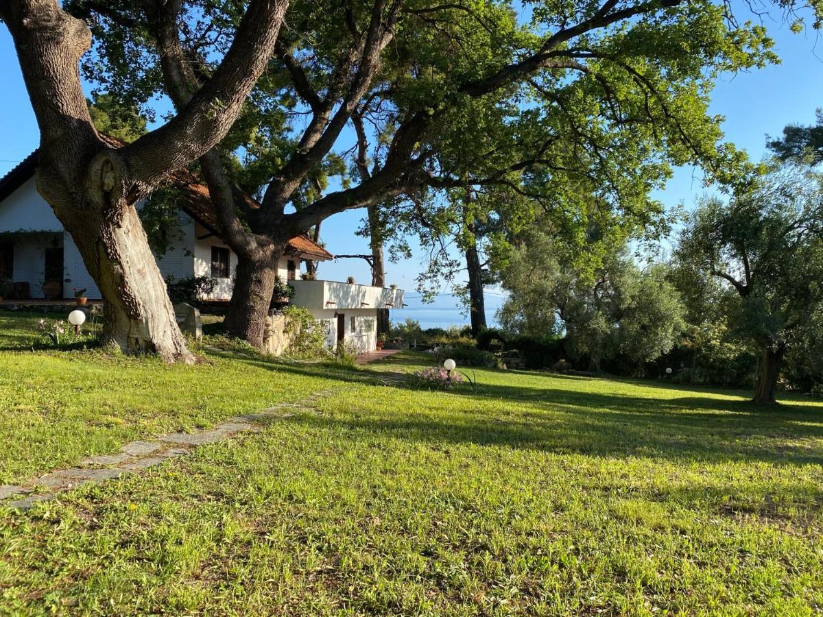 Wild Oaks Cottage Kriopigi Eksteriør billede