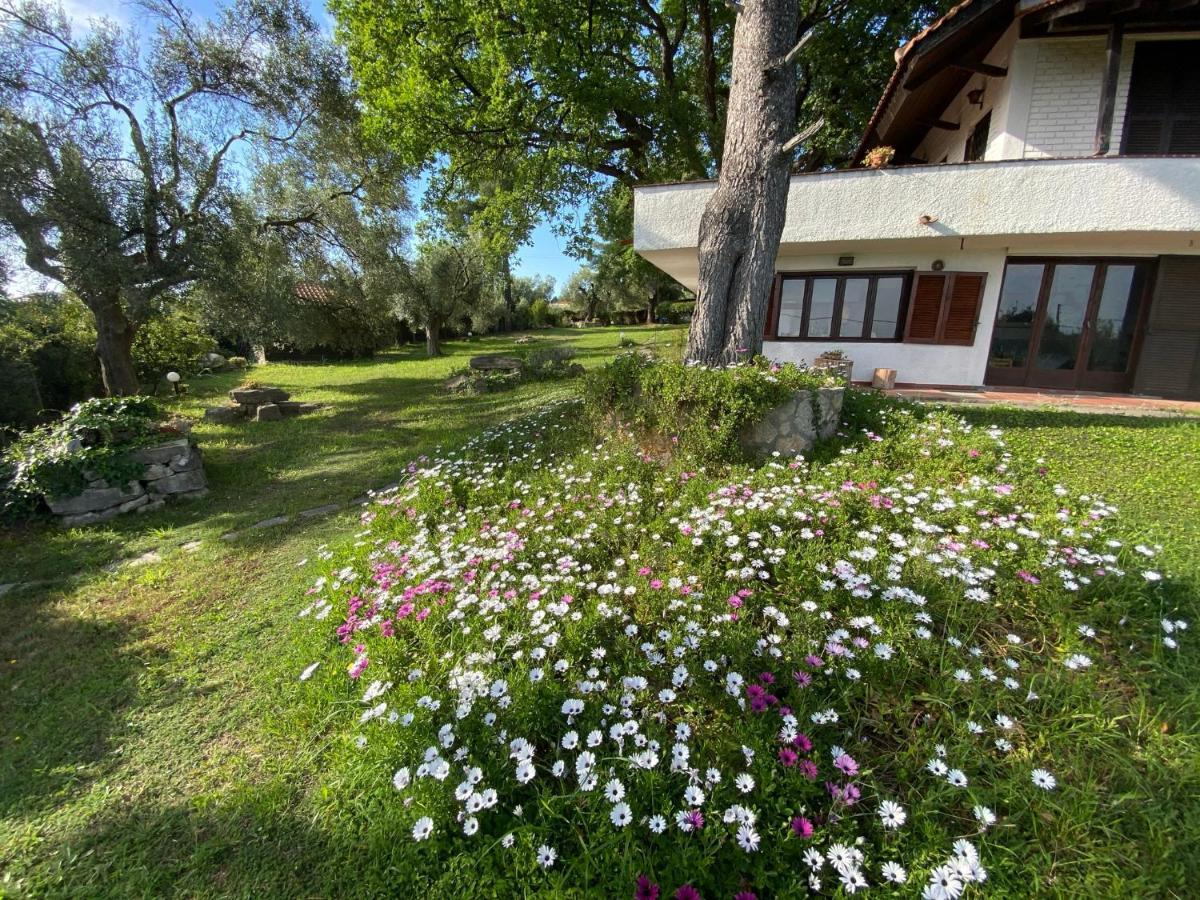 Wild Oaks Cottage Kriopigi Eksteriør billede