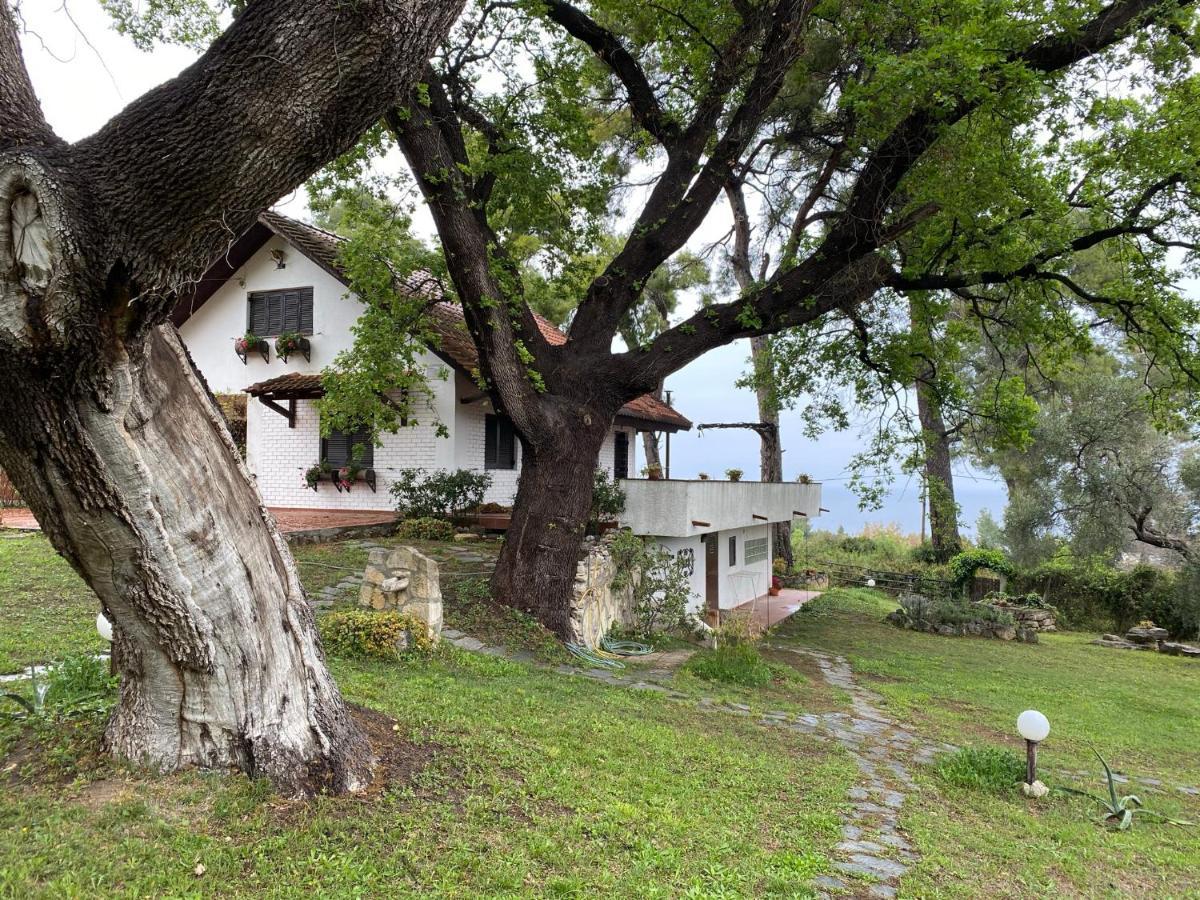 Wild Oaks Cottage Kriopigi Eksteriør billede